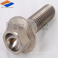 titanium hex head bolt